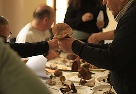 Jornadas micológicas.