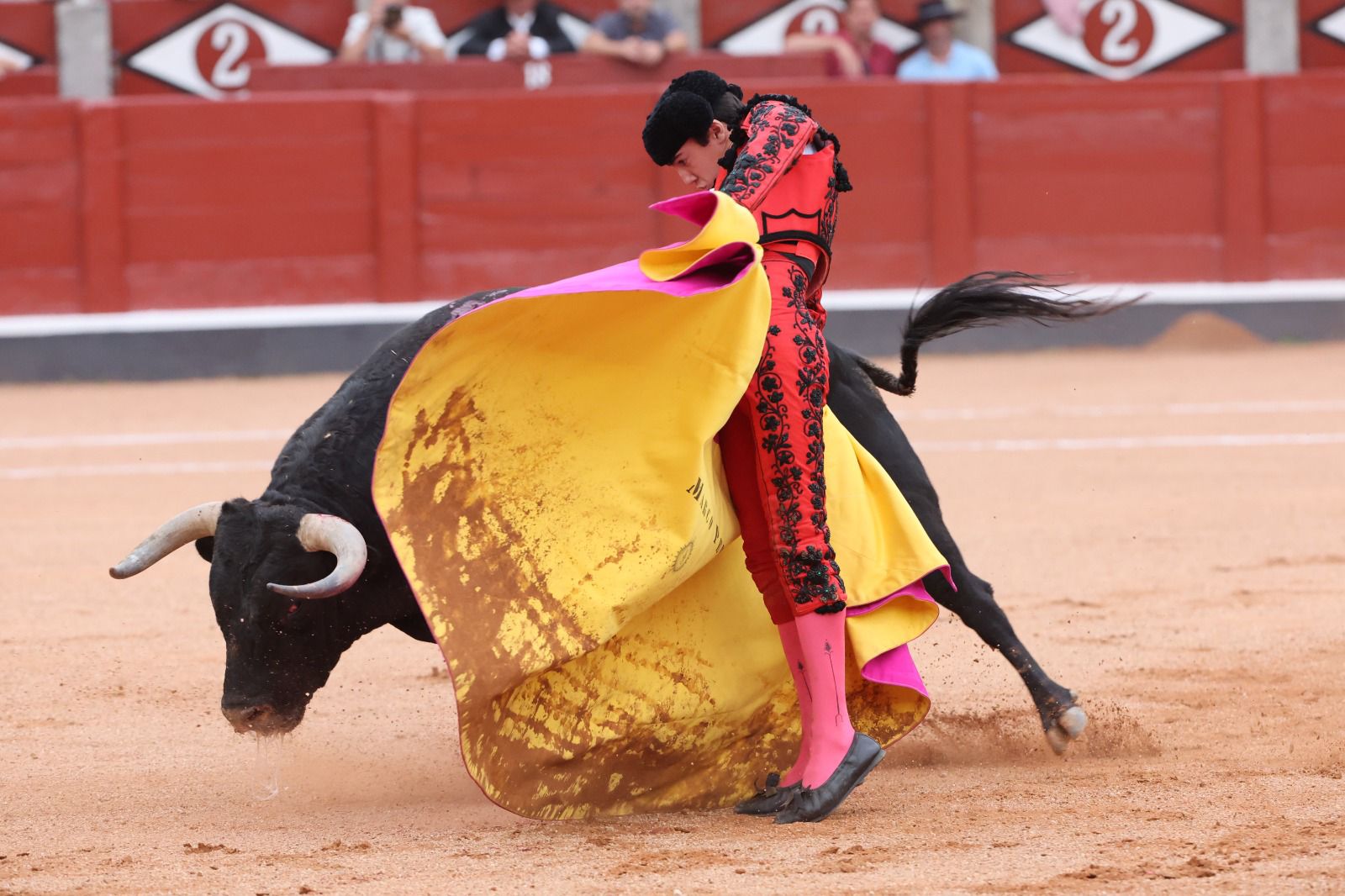 Los toreros salmantinos salen a hombros en un día gris de Morante