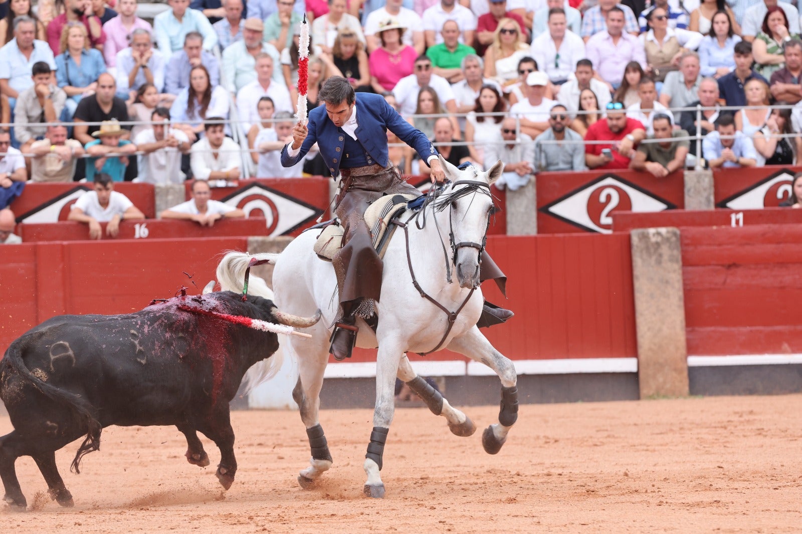 Suspendido el rejoneo de La Glorieta por la intensa lluvia