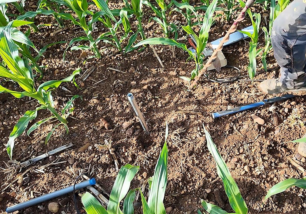 Sonda de humedad con telecontrol CCRR Vegas del Almar.