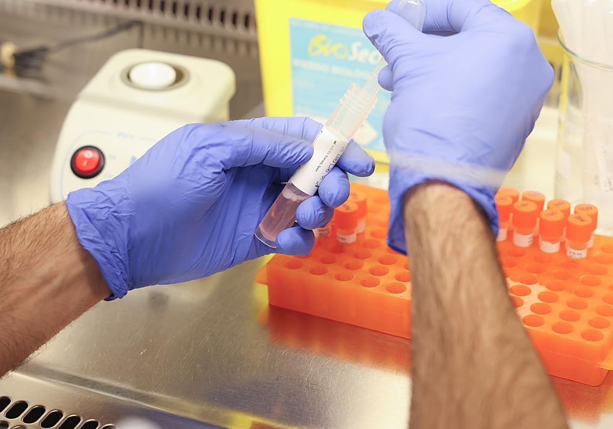 Un investigador en un laboratorio en una imagen de archivo