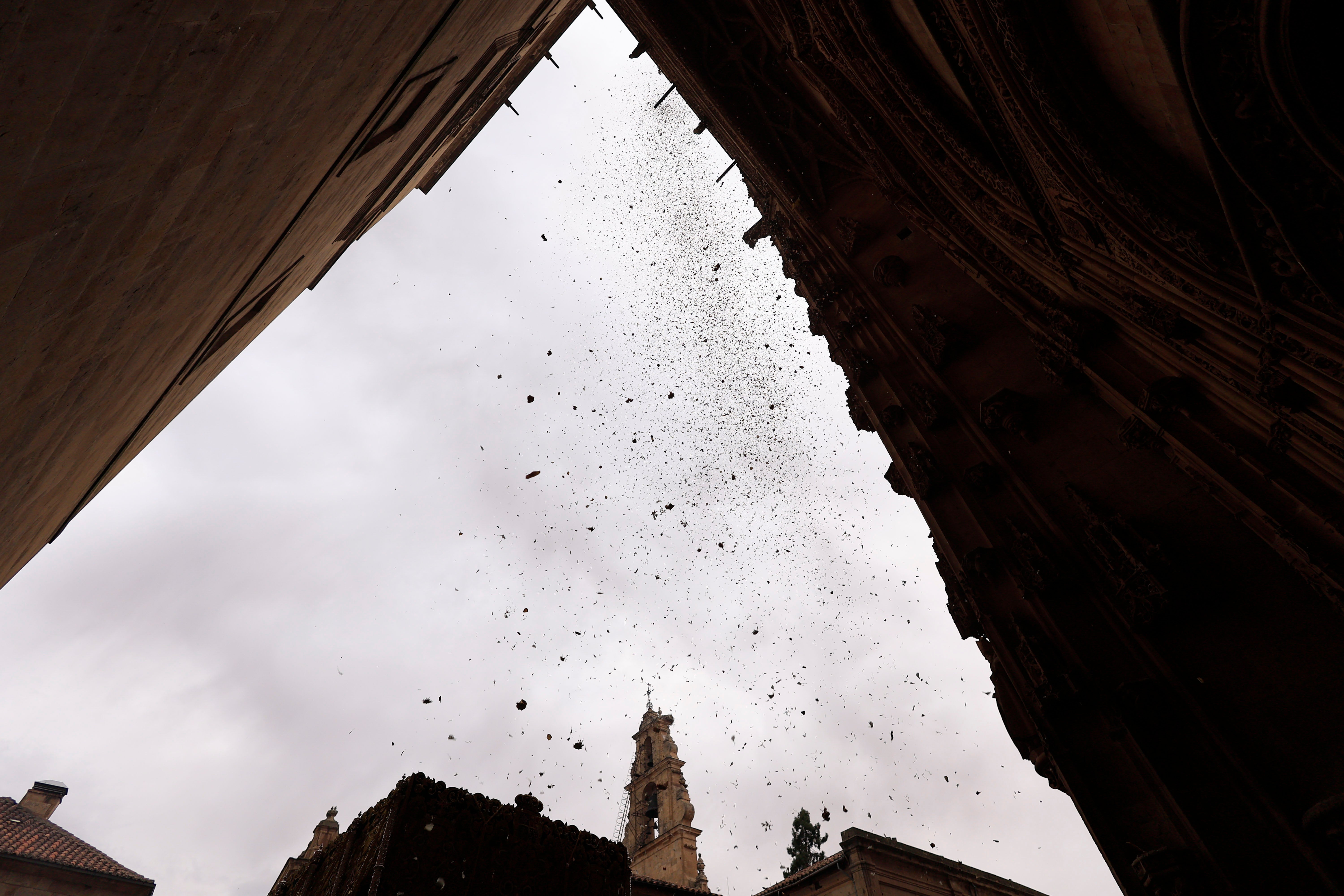 La procesión extraordinaria de la Esperanza, en imágenes