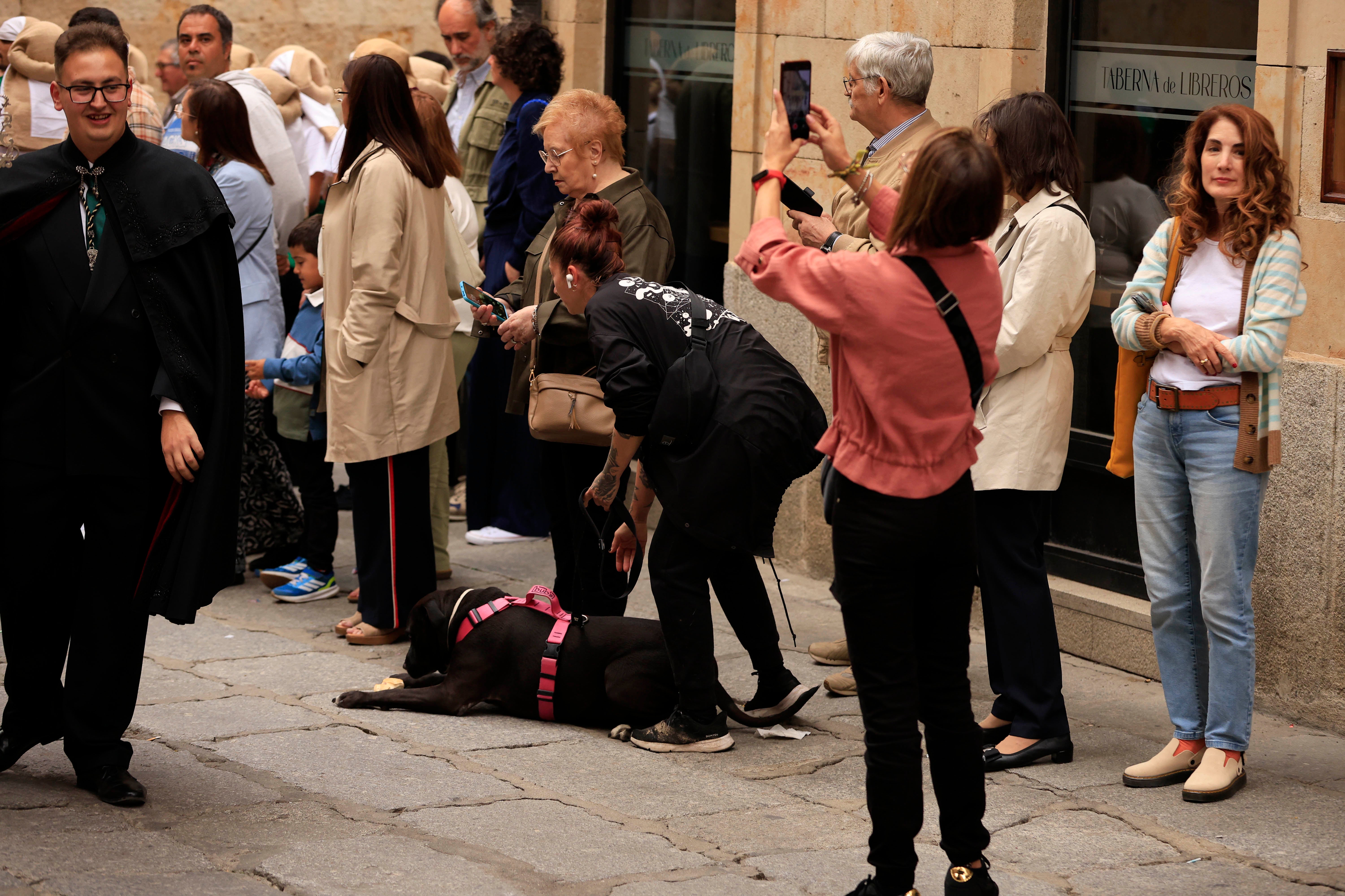 La procesión extraordinaria de la Esperanza, en imágenes