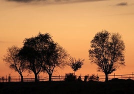 Cerro de San Vicente.