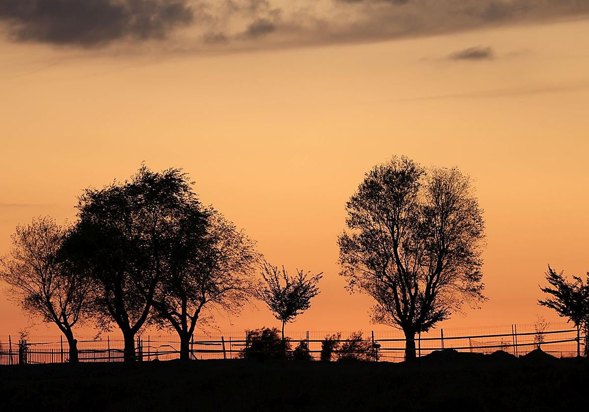 Cerro de San Vicente.