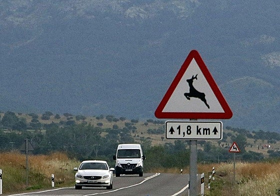 Iniciativa del PSOE de Salamanca para prevenir la siniestralidad en carreteras por culpa de la fauna