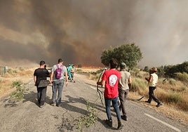 Incendio en Cipérez.