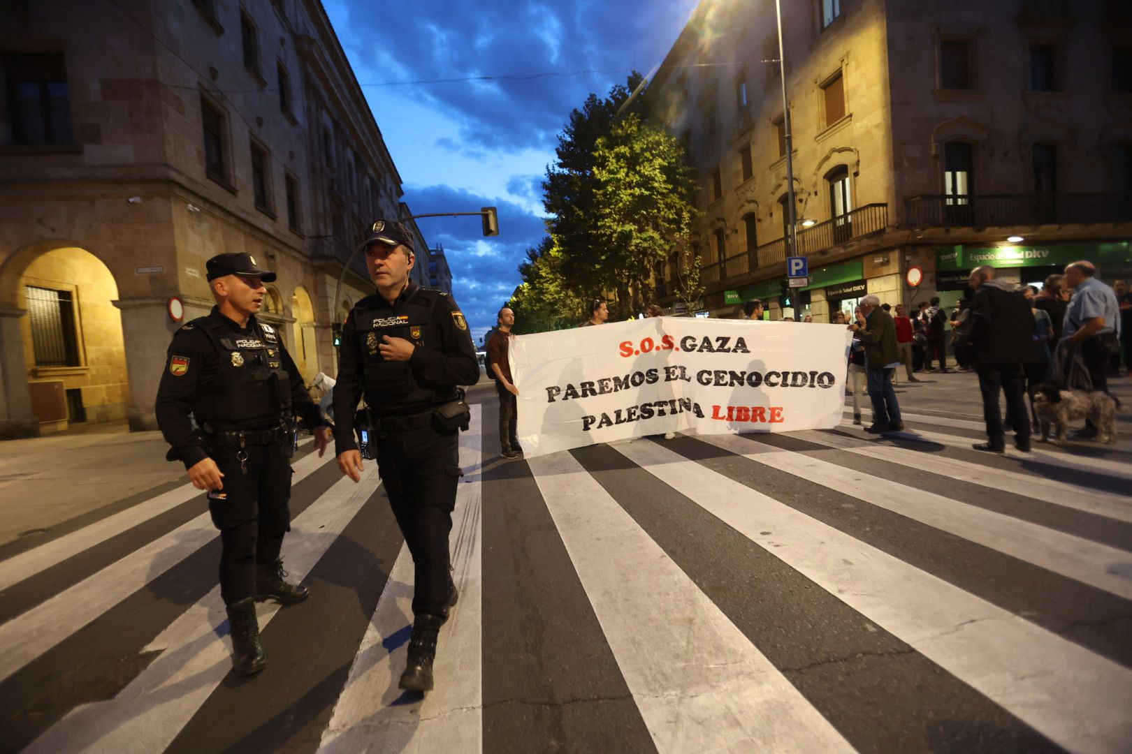 Salamanca vuelve a salir a la calle por una Palestina libre