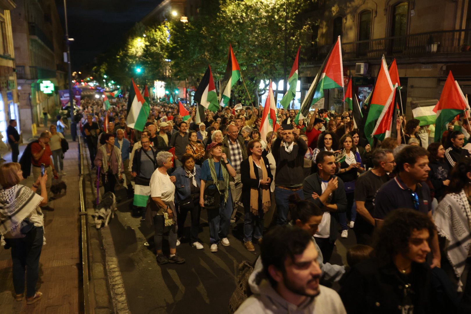 Salamanca vuelve a salir a la calle por una Palestina libre