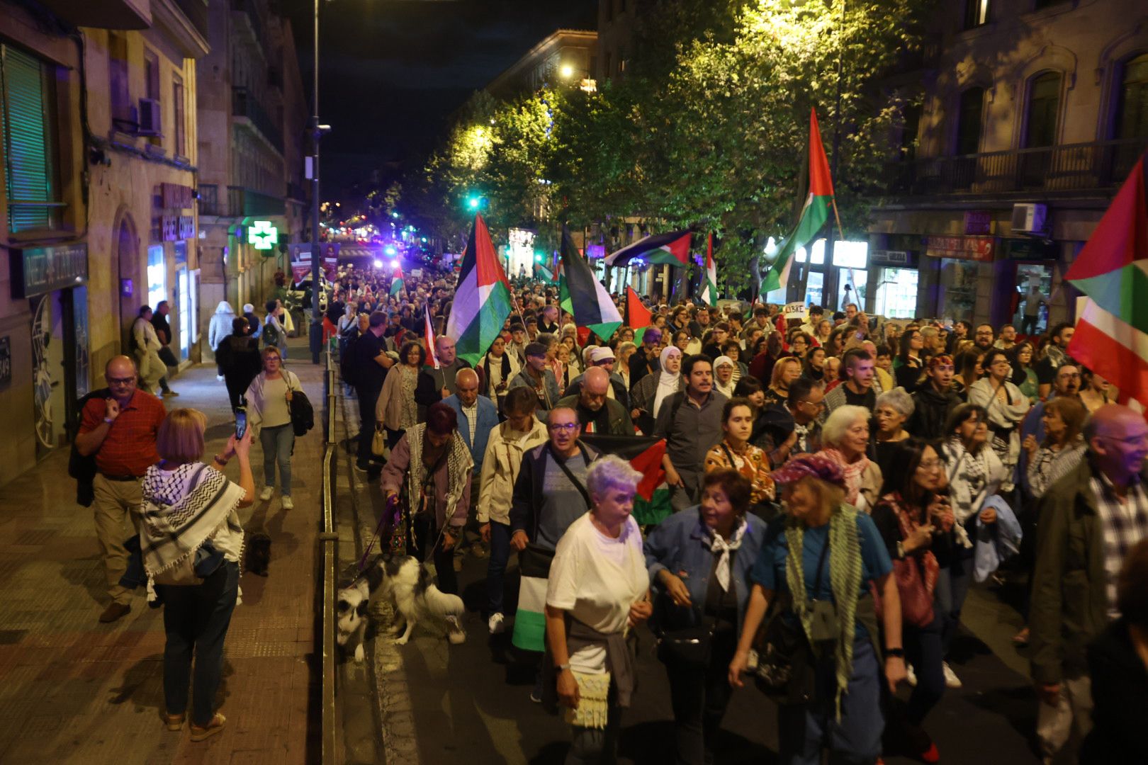 Salamanca vuelve a salir a la calle por una Palestina libre