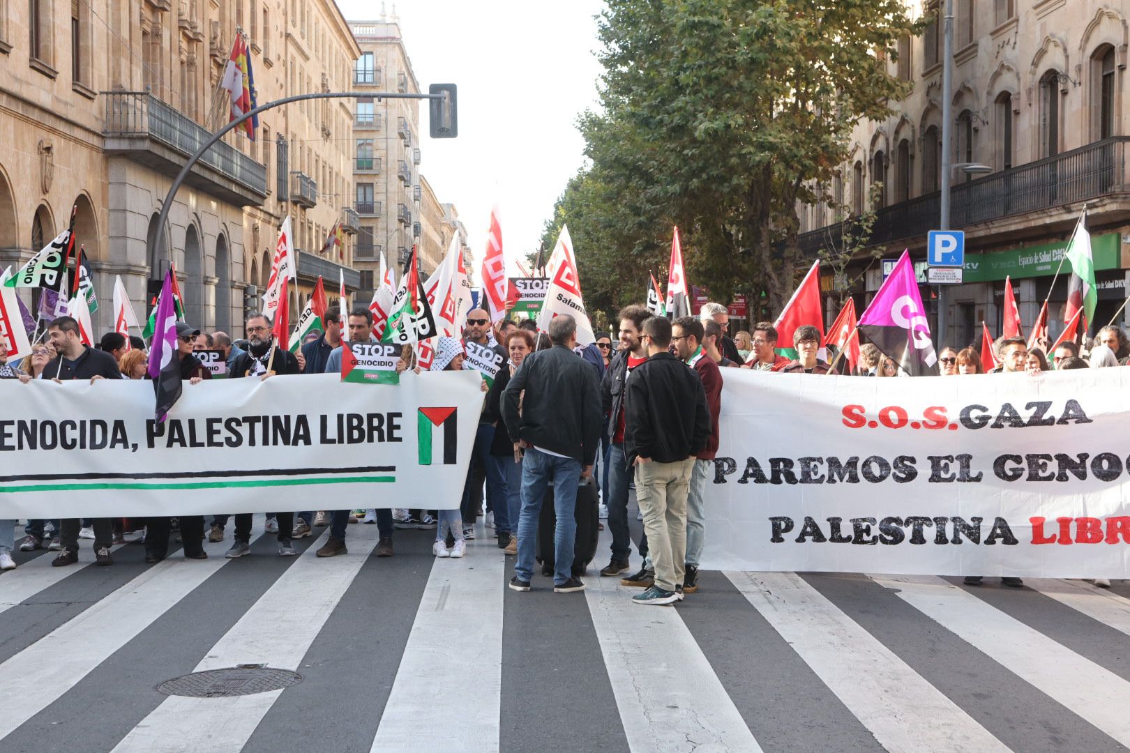 La Huelga General en apoyo a Palestina se hace escuchar en Salamanca y corta la Gran Vía