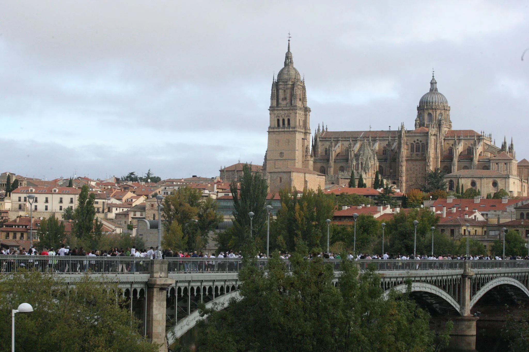 Marcha contra el Cáncer 2024