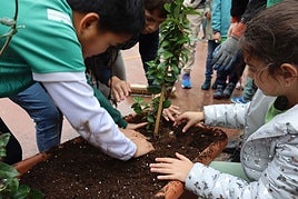 Varios alumnos ponen tierra y plantan algunas de las especies elegidas.