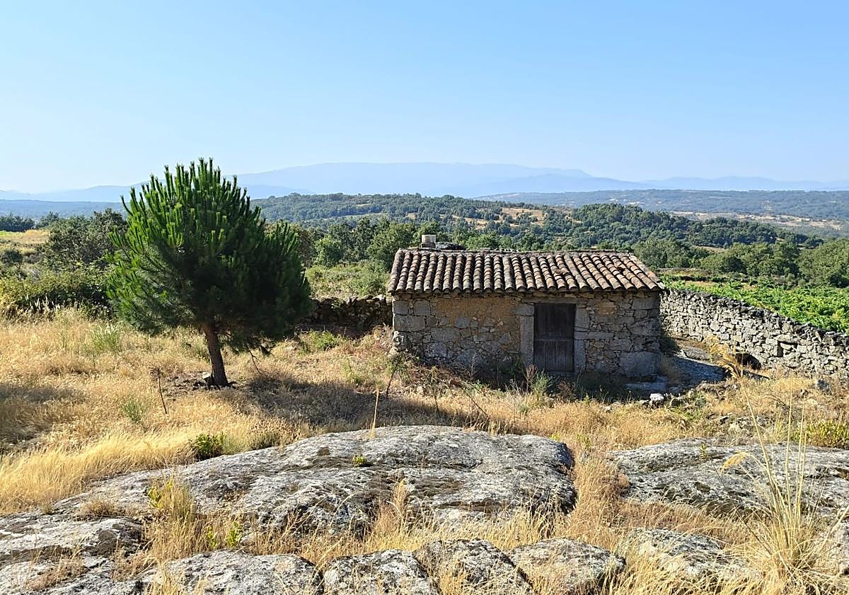 Imagen principal - Caseta y chimenea en su interior; plano de localización del viñedo.