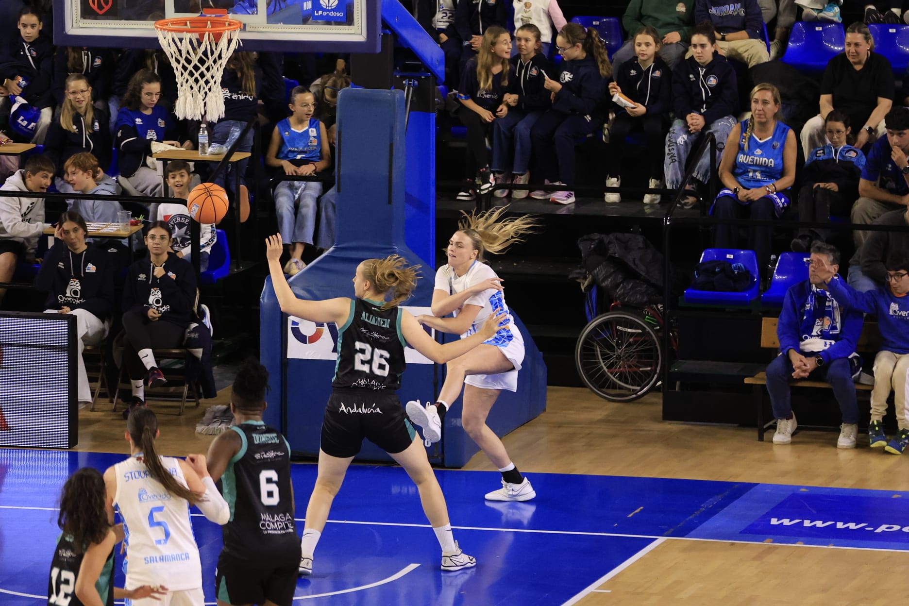 El Avenida-Estepona, en imágenes