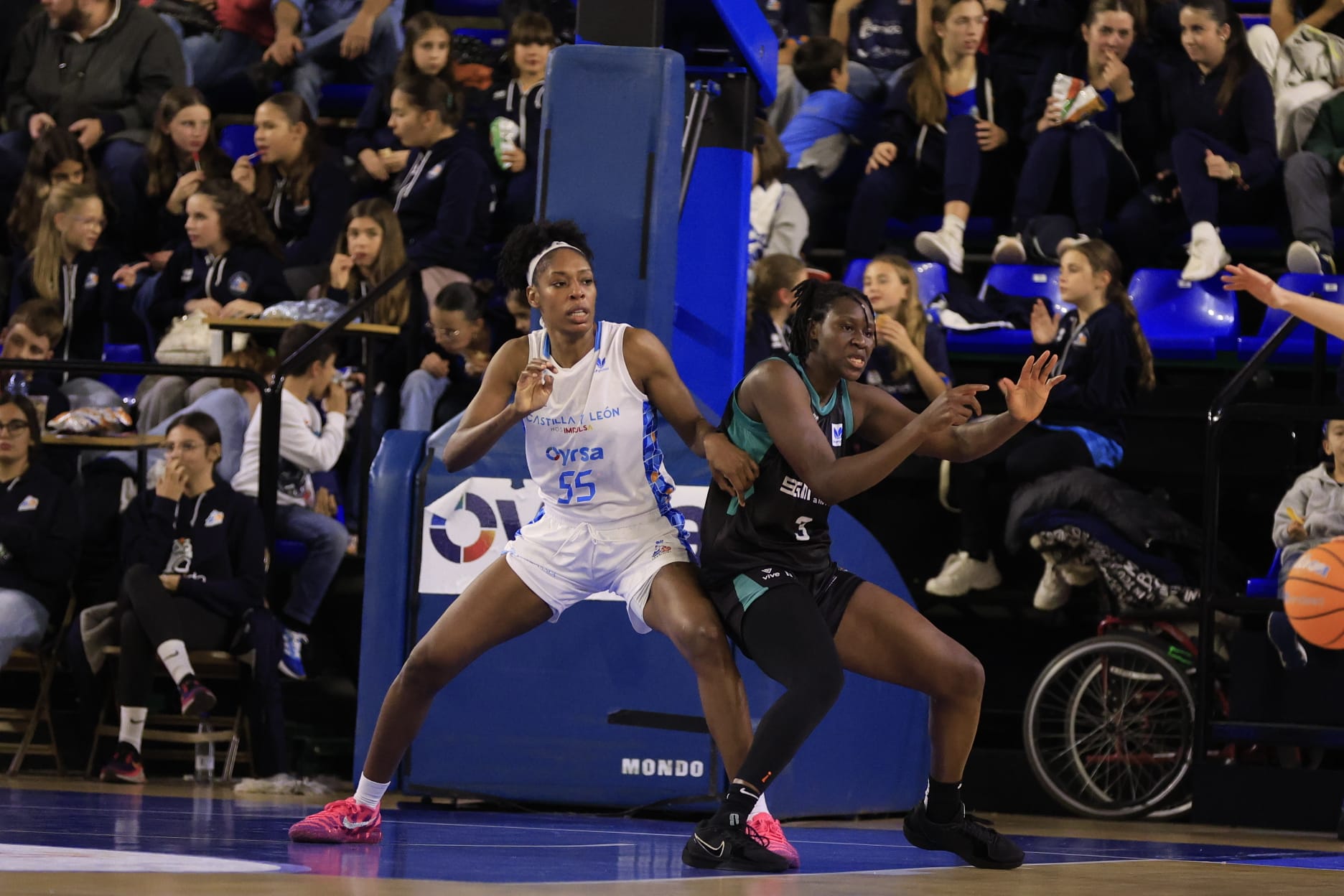 El Avenida-Estepona, en imágenes