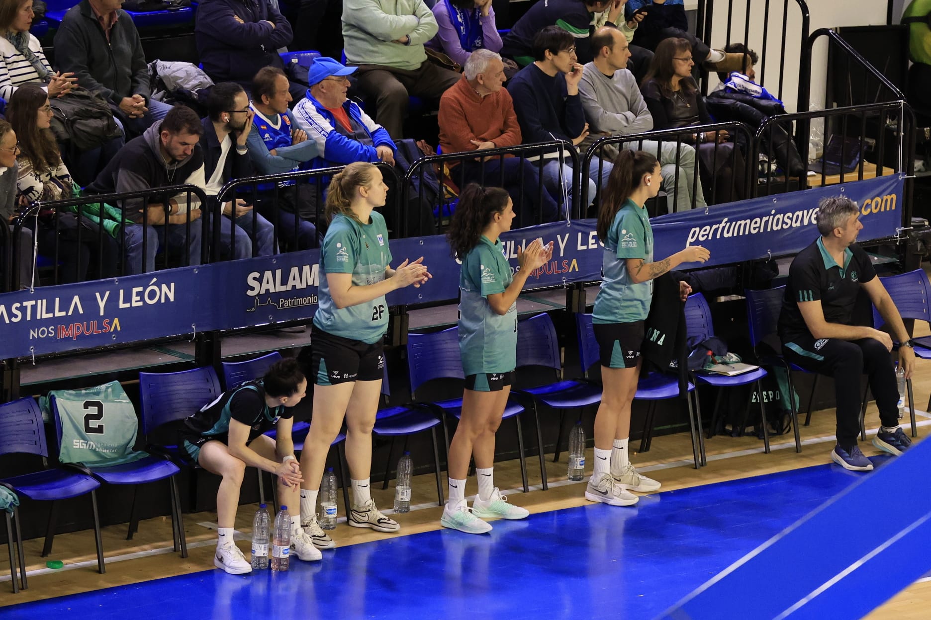 El Avenida-Estepona, en imágenes