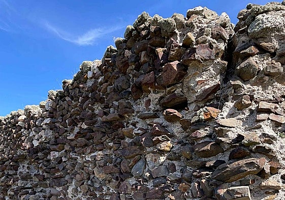 Restos del castillo medieval de Castillejo de Martín Viejo.