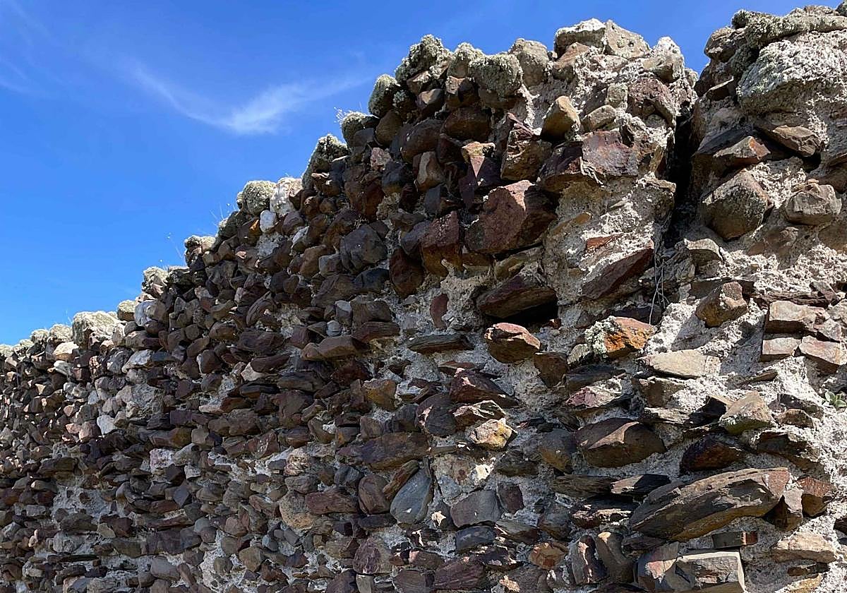 Restos del castillo medieval de Castillejo de Martín Viejo.