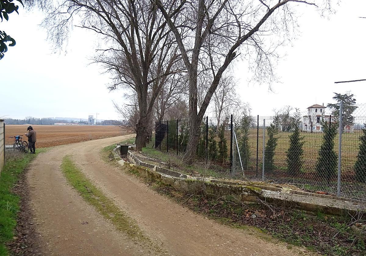 Camino rural de Navasmostrenca.