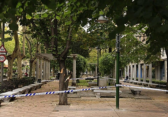 Imagen de una zona acordonada por la policía debido a la caída de una rama en Salamanca.