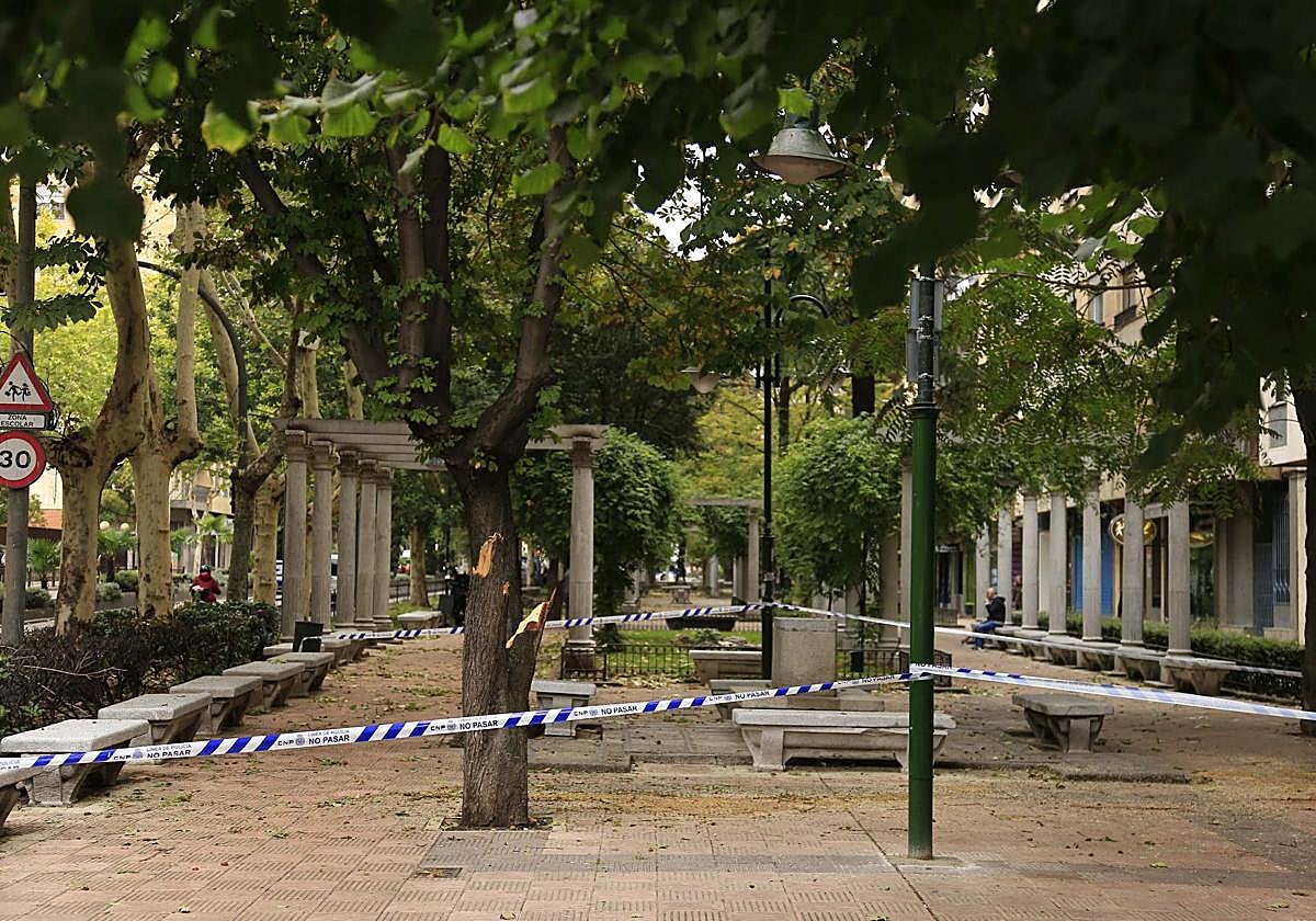 Imagen de una zona acordonada por la policía debido a la caída de una rama en Salamanca.
