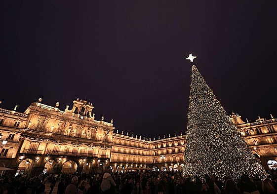 Plaza Mayor de Salamanca con el encendido del árbol.