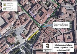 Plano del corte de tráfico en la Calle Vaguada de la Palma
