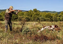 Un cazador practica caza menor con perro.