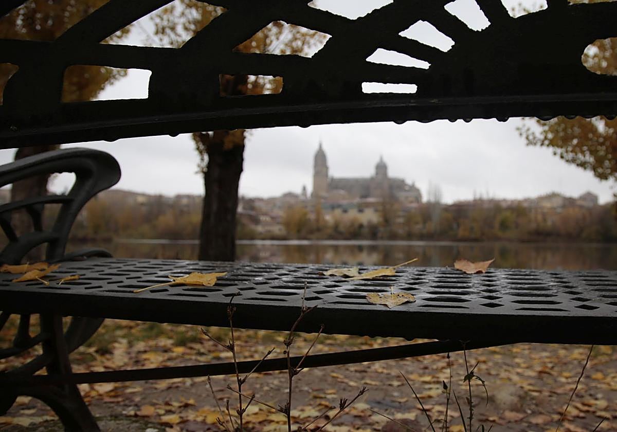 Vistas de las catedrales de Salamanca desde un banco del río Tormes en un día de frío.