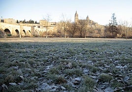 Helada en la ribera del Tormes.