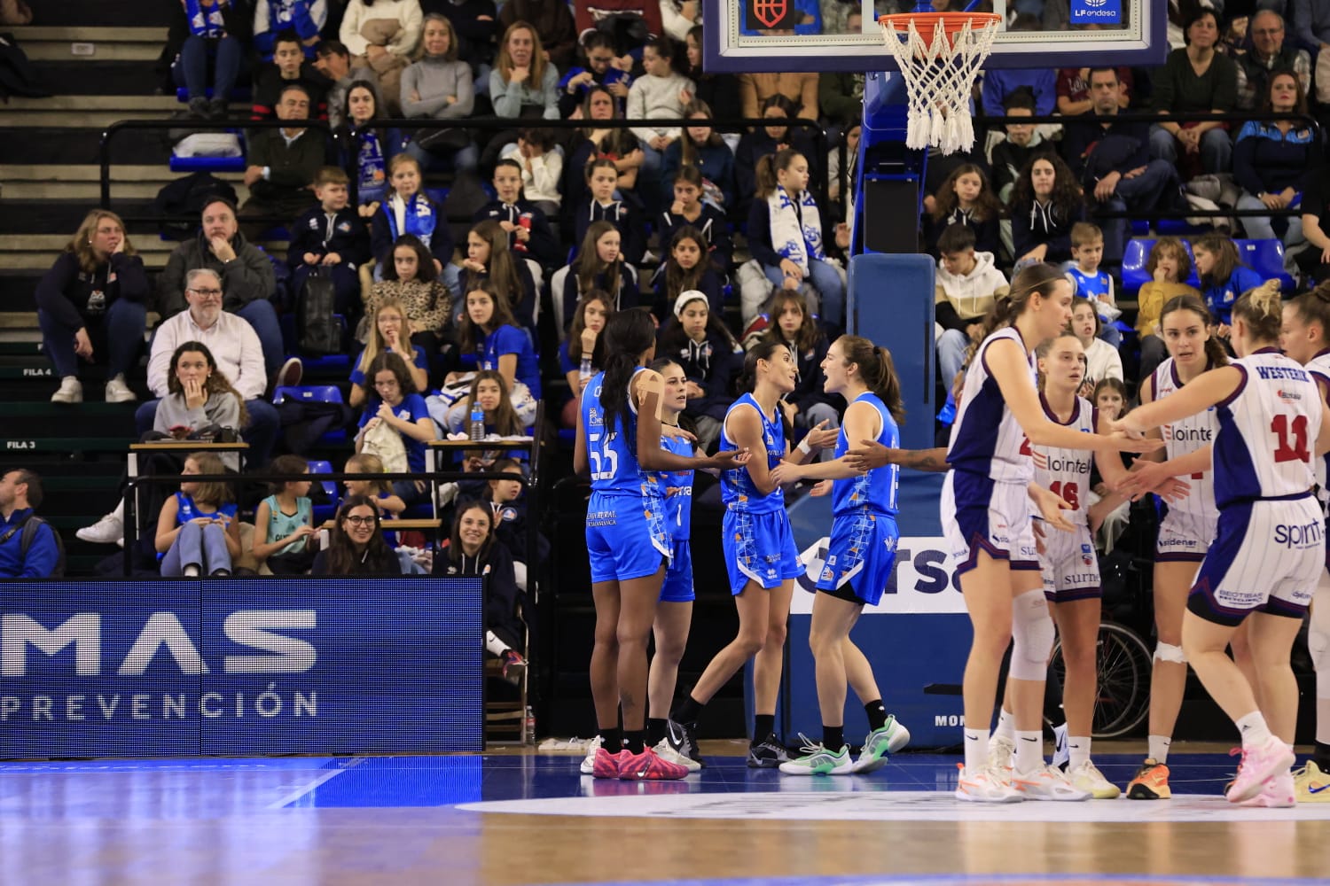 El partido Avenida - Lointek Gernika, en imágenes