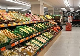 Interior del nuevo establecimiento de Dia en Federico Anaya.