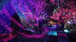 Decoración navideña del Huerto de Calixto y Melibea.