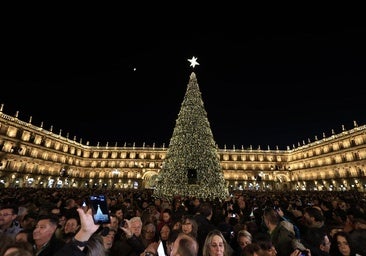 Salamanca enciende la Navidad con el gran árbol de la Plaza Mayor, música y nuevos adornos