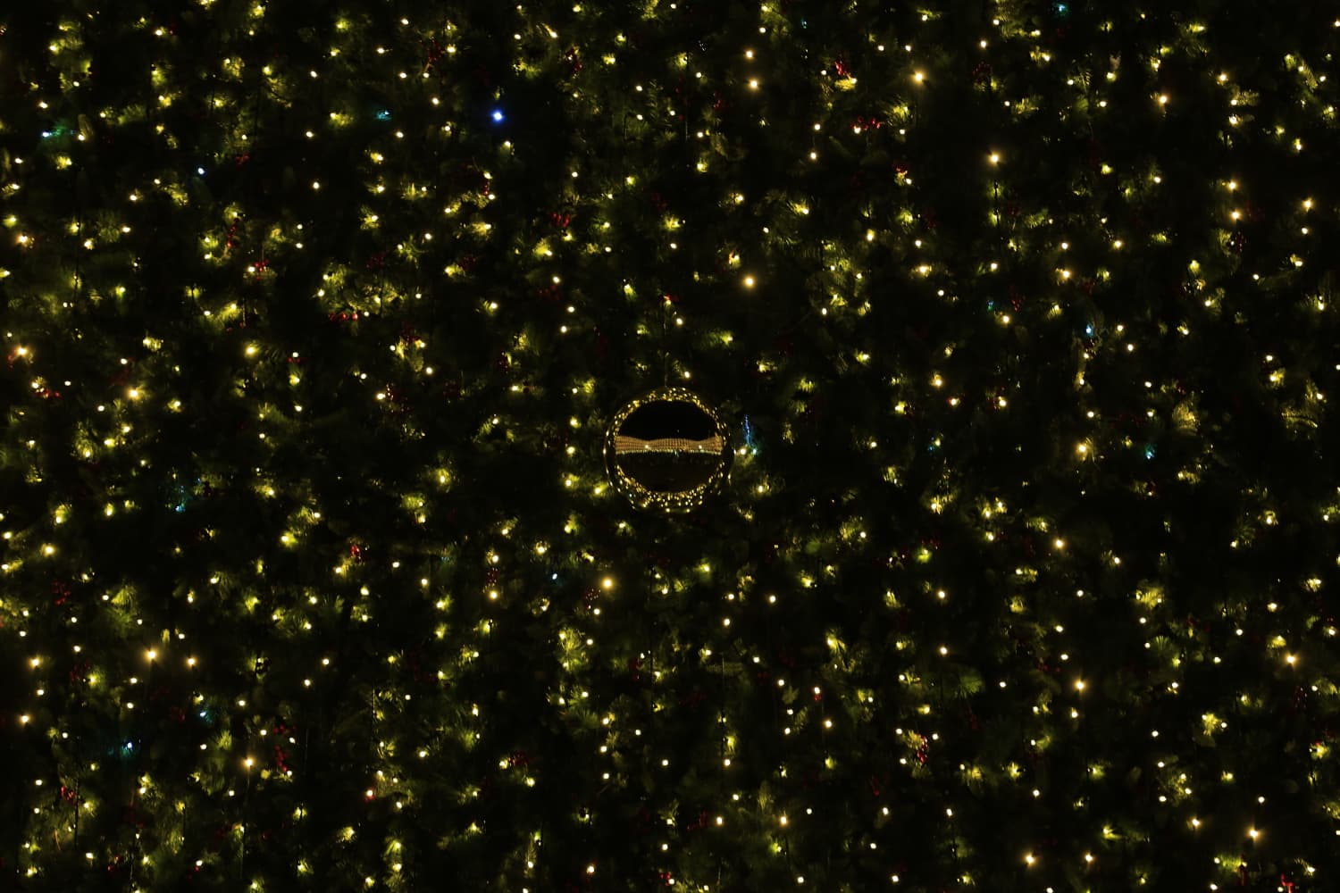 La Navidad ya deslumbra en Salamanca con luces, árbol y videomapping