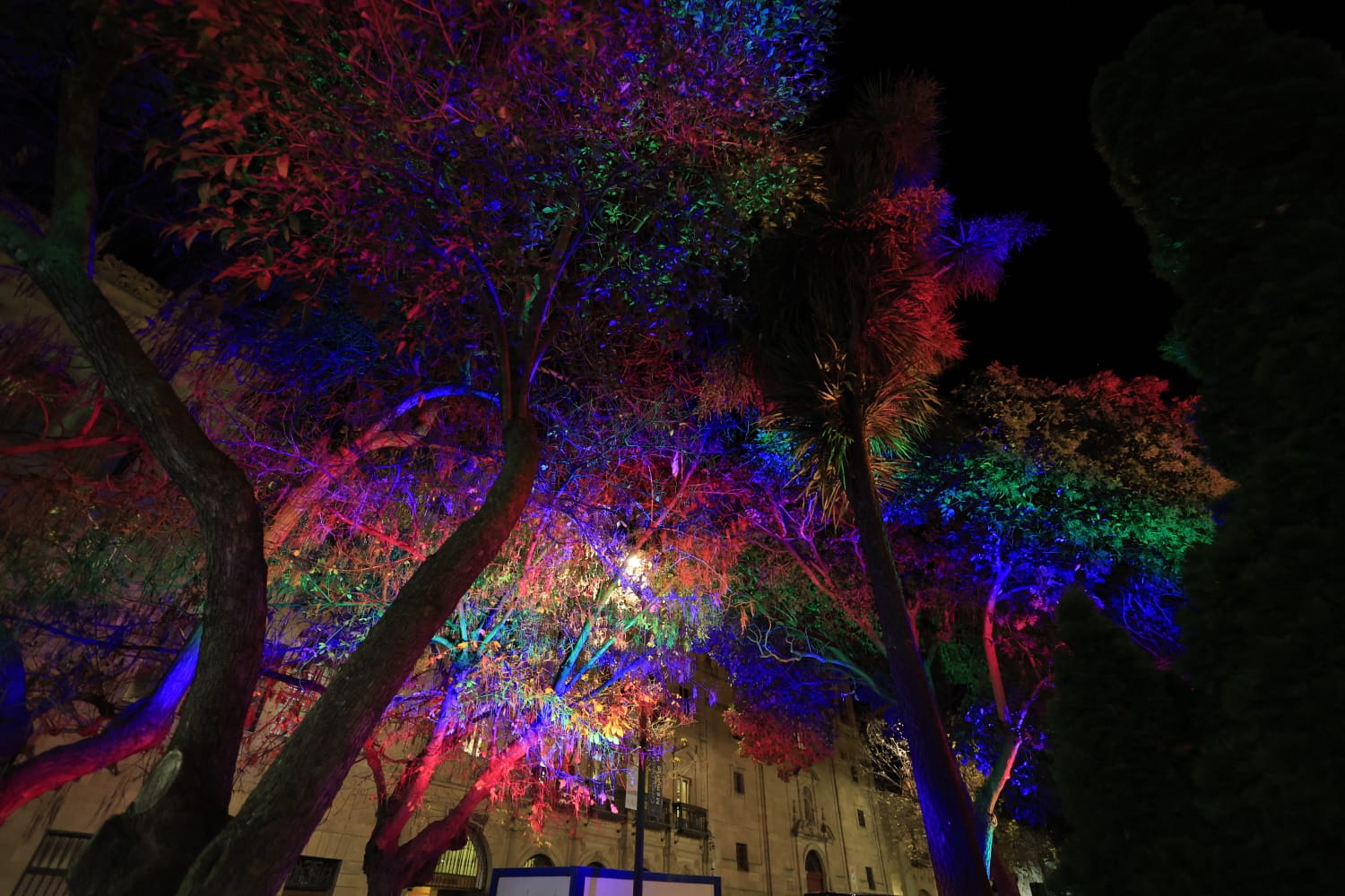 La Navidad ya deslumbra en Salamanca con luces, árbol y videomapping