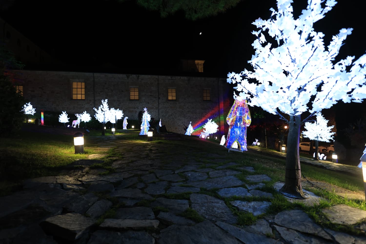 La Navidad ya deslumbra en Salamanca con luces, árbol y videomapping