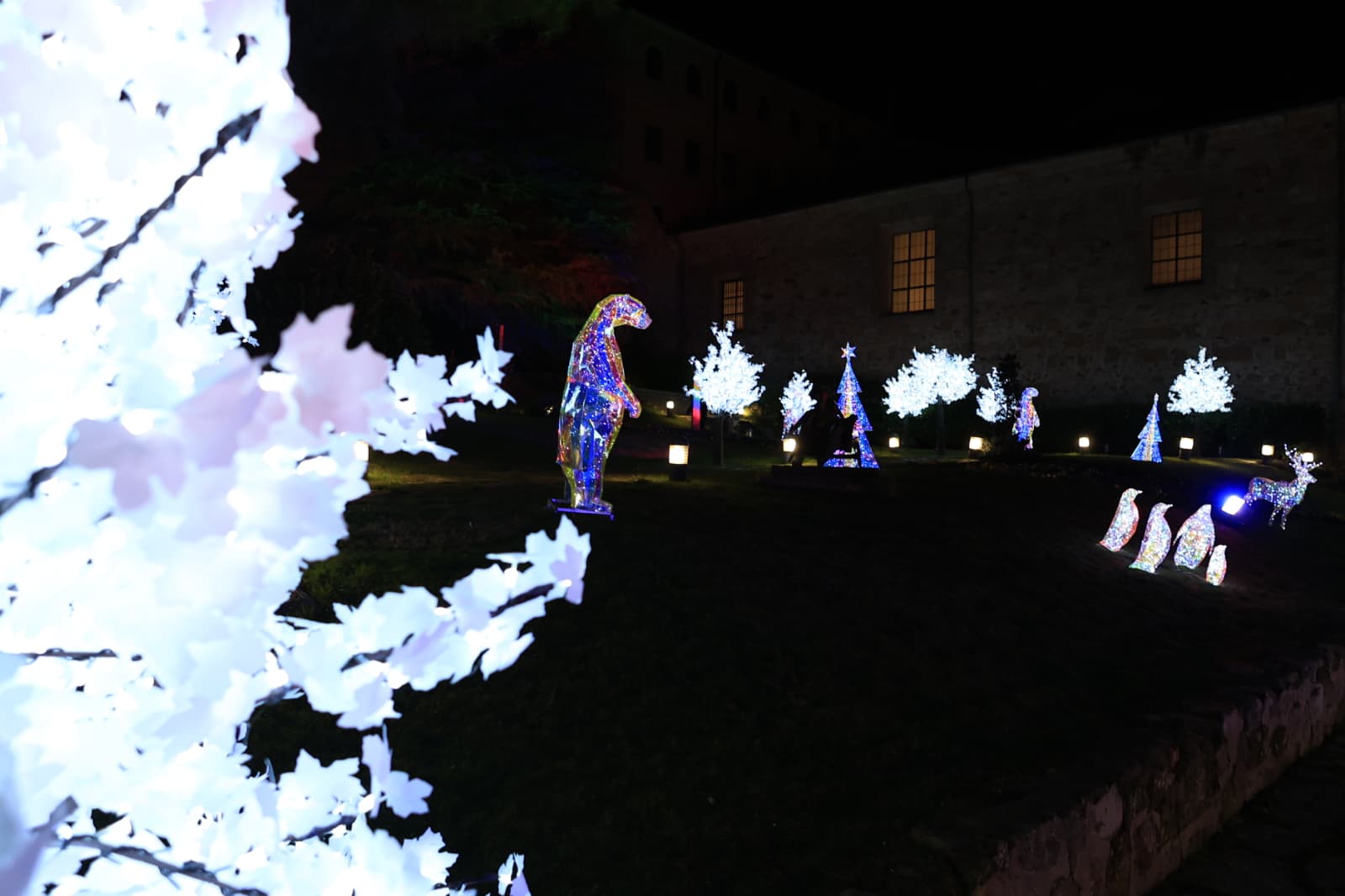 La Navidad ya deslumbra en Salamanca con luces, árbol y videomapping