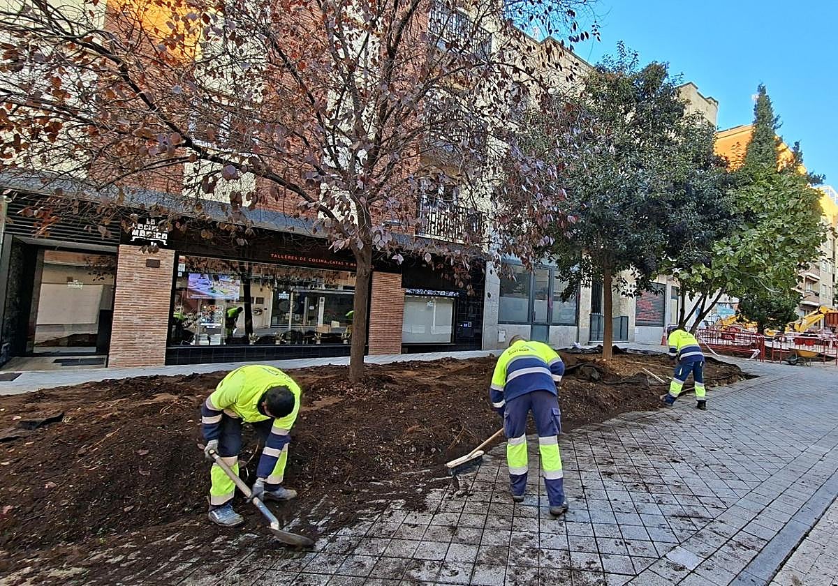 Varios trabajadores municipales, en las obras de la calle Gütenberg.