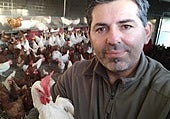 Las granjas de gallinas camperas de Salamanca, al límite tras dos meses de encierro: «No tengo huevos suficientes»