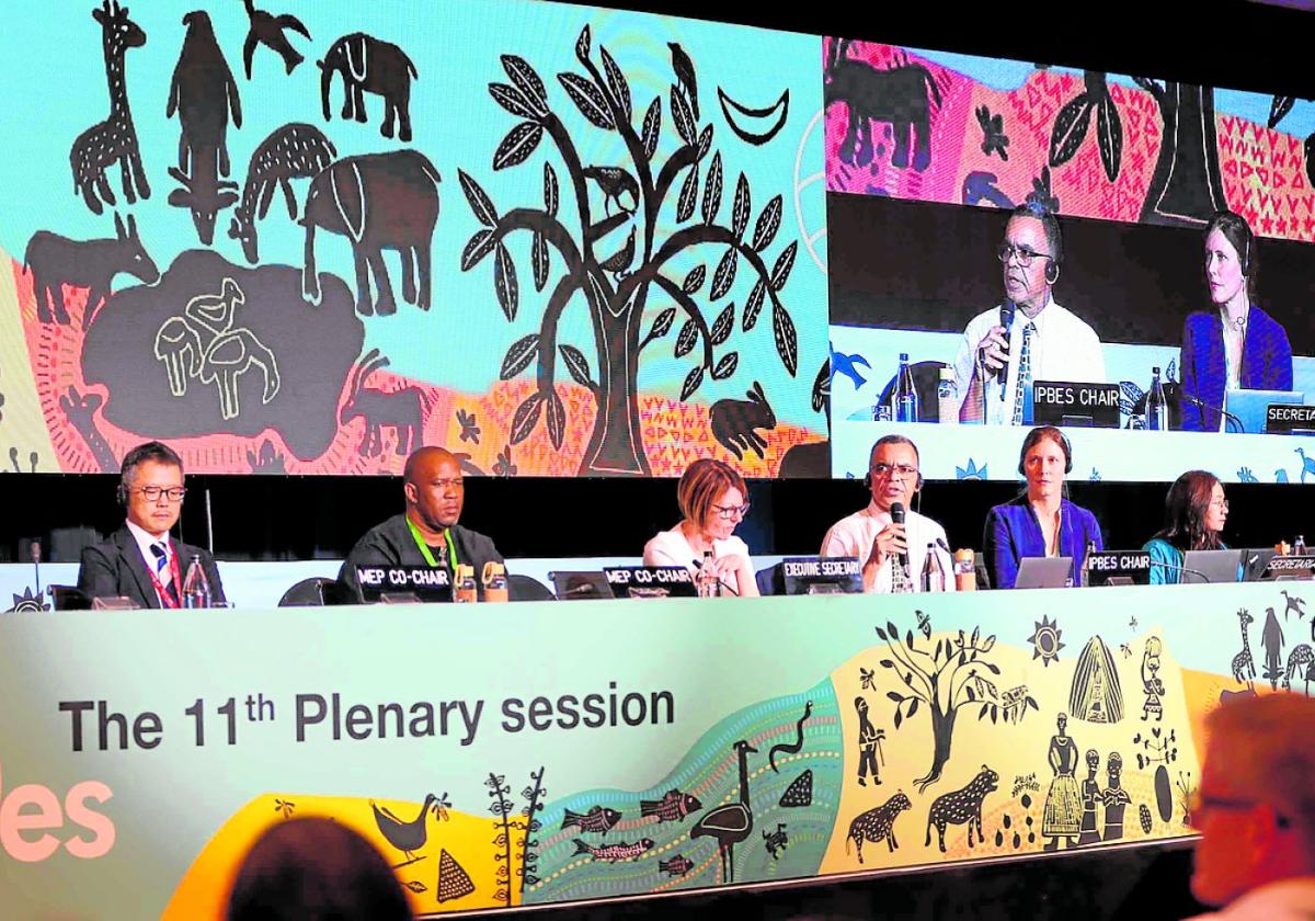 Abschlusskonferenz des Weltbiodiversitätsrates am 18. Dezember in Windhuk.
