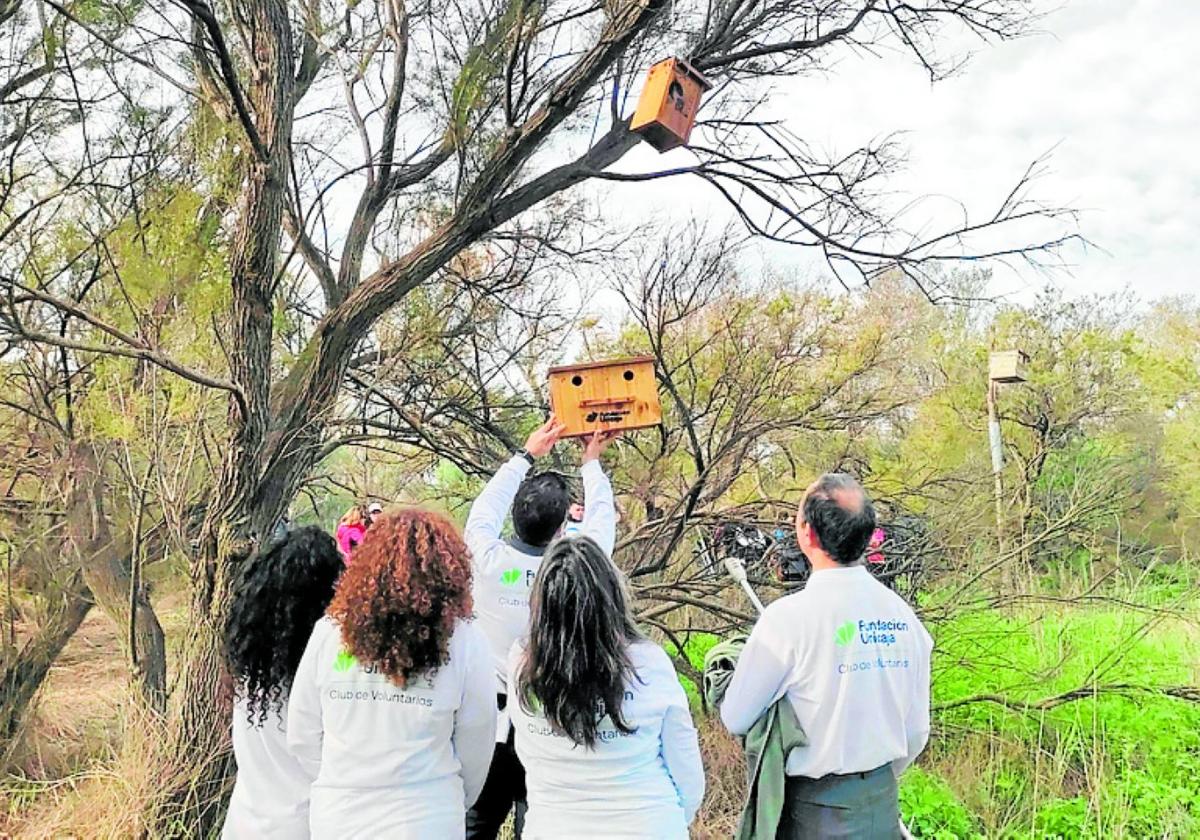 Das Anbringen von Nistkästen ist eine der Aktivitäten.