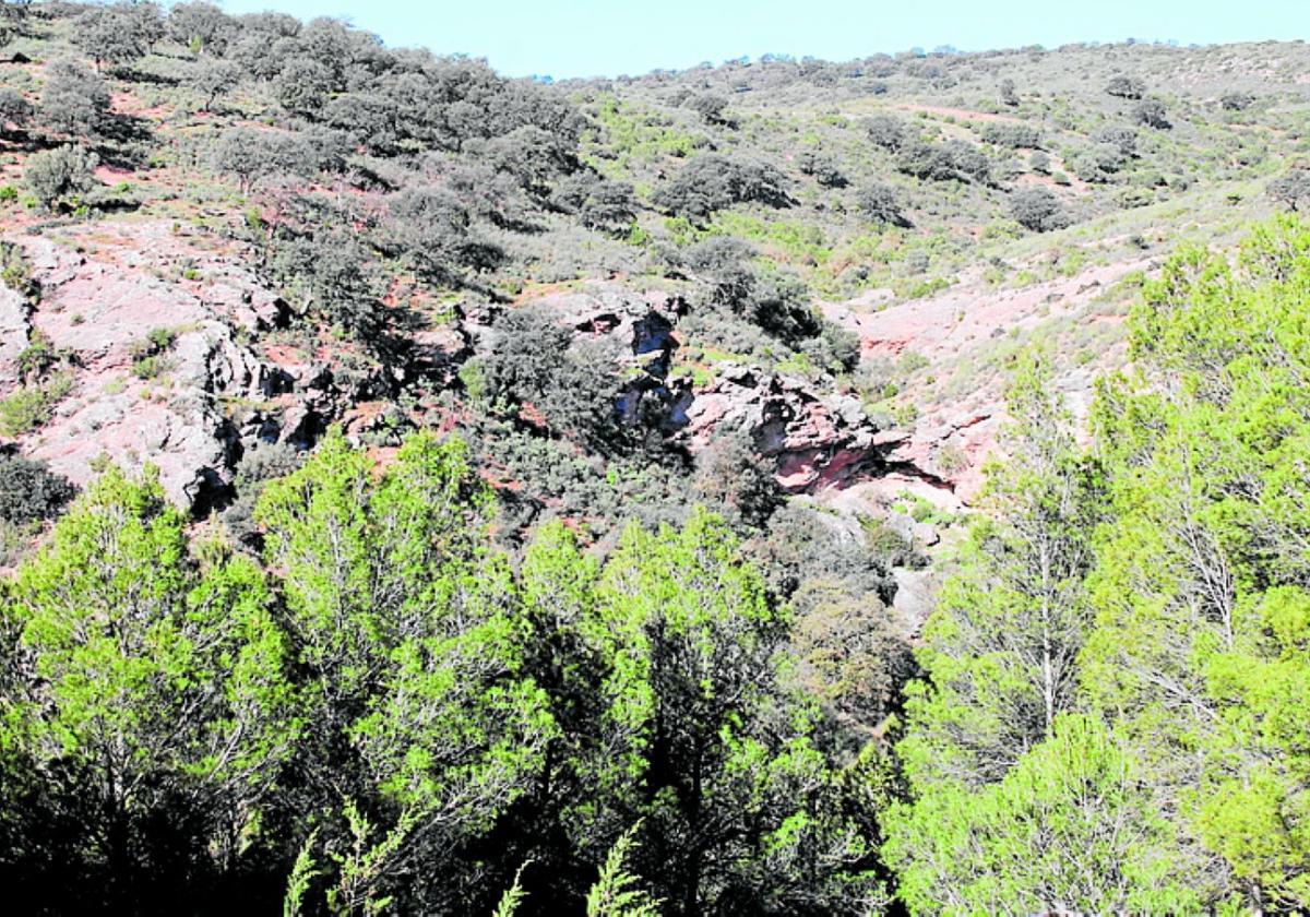 Quellen, Schluchten und Wälder des '103. Dorfes' von Málaga