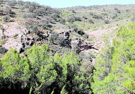 qAusblick.Kleine Schlucht in der als Siete Pozos bekannten Gegend, die über einen Wanderweg erreichbar ist.