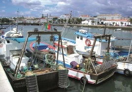Einen besonderen Charme verspüht der Fischerhafen von Tavira.