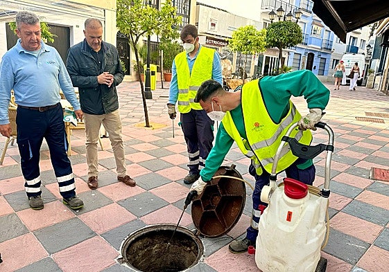 Arbeiter sprühen Mittel zur Schädlingsbekämpfung in die Kanalisation.