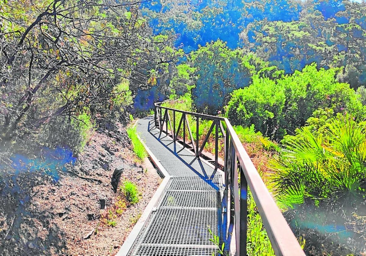 Abenteuer am Fluss: Brücken, Stege und Uferwege