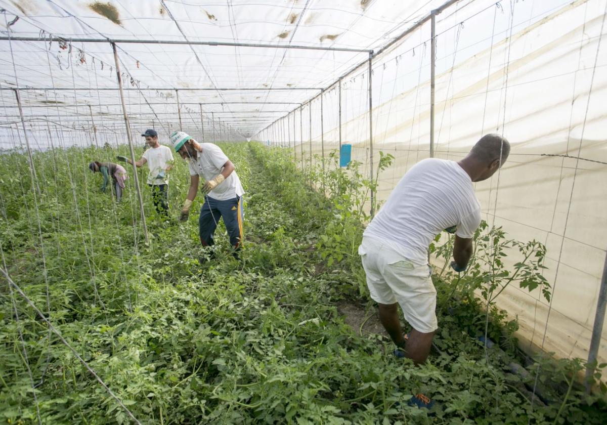 Spanien plant Arbeitserlaubnis für hunderttausende Migranten