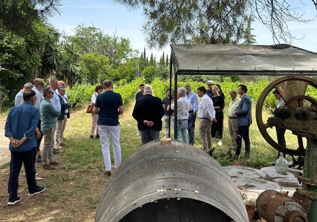 Besuch eines Weinguts bei Montilla